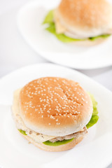 chicken sandwich