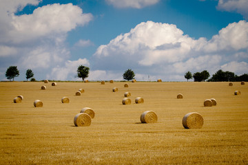 the last days of summer
