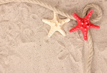 Fototapeta na wymiar Starfishes with rope on sand