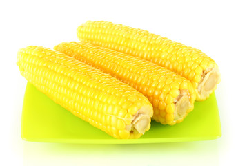boiled corn isolated on white on the green plate