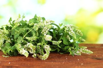 Fresh mint on green background close-up