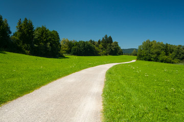 Fototapeta na wymiar Droga przez łąki w pobliżu jeziora chmielu