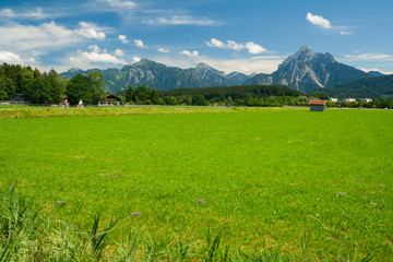 Obraz premium Wiese zwischen Füssen und dem Hopfensee