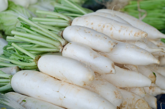many white radishes are sold in fresh markets