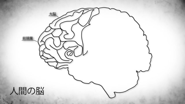 The human brain structure animation illustration Japanese