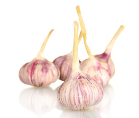 young garlic isolated on white background