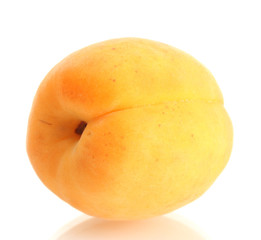 ripe sweet apricot isolated on white