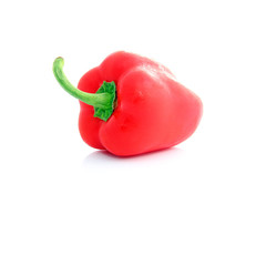 Poivron rouge isolé
