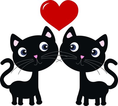 two cats in love