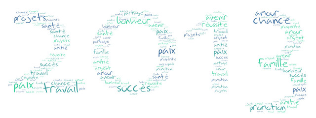 Nuage de Mots : 2013 Mots1