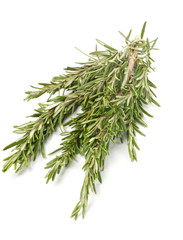 Bunch of Rosemary