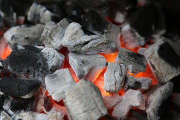 Holzkohle