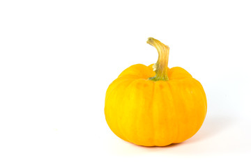 Pumpkins on white background