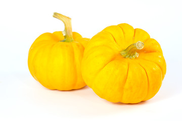 Pumpkins on white background