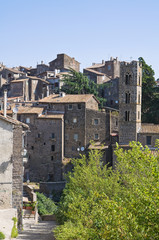 Fototapeta na wymiar Panoramic view of Ronciglione. Lazio. Italy.