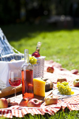 Perfect food in the garden. picnic