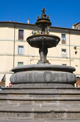Monumental fountain. Ronciglione. Lazio. Italy.