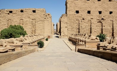 Sphingenallee im Karnak-Tempel in Luxor, Ägypten © eugen_z