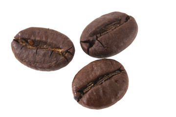coffee beans isolated