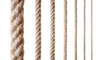 Collection of various ropes