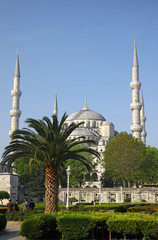 Fototapeta na wymiar Błękitny Meczet (Sultanahmet Camii), Stambuł, Turcja