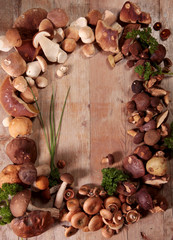 Waldpilze auf einem Holztisch