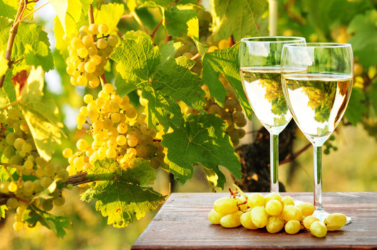 Weinreben und Weißwein