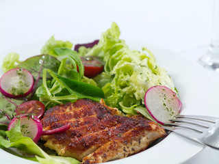 Gemischter Salat mit Geflügelbrust