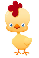 Cute little chicken vector