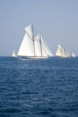 Classic yacht regatta