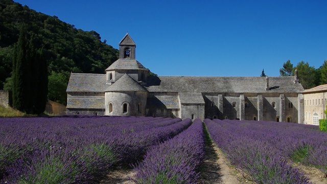 Senanque vid 05 orig