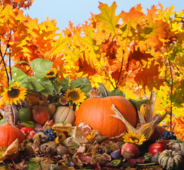 Fototapeta na wymiar Thanksgiving: owoce, słoneczniki, jesienne liście
