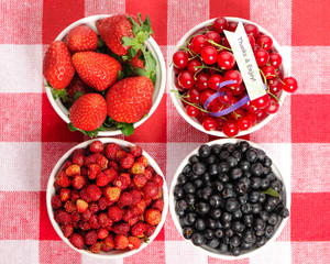 Wild berries in bowls