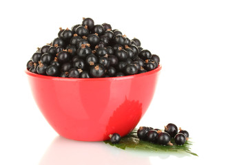 Fresh black currant in red bowl isolated on white