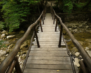 Fototapeta premium wooden bridge in the forest.