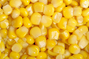 Corn seeds