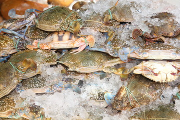 Fresh raw flower crab or blue crab in Thailand fresh market