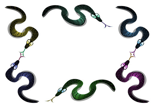 six snakes on a white background