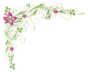 Ranke, flora, Blume, Blüte, border, frame, grün, rosa