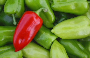 Sweet red pepper against green pepper