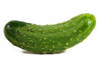 Cucumber