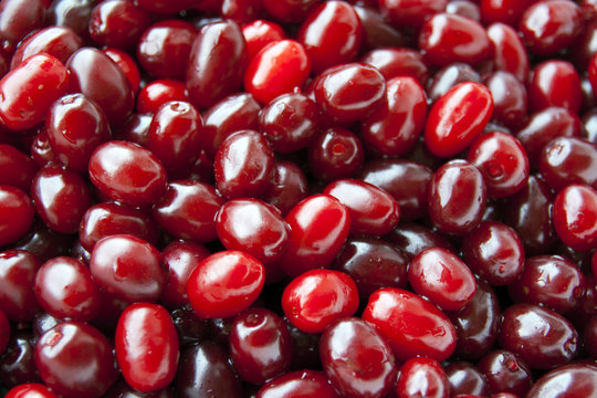 Kornelkirschen