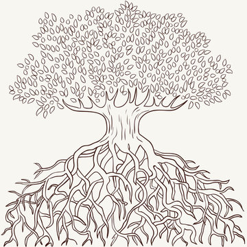 3 804 Best Tree With Roots Outline Images Stock Photos Vectors Adobe Stock