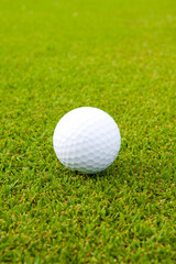Golfball on the golf green