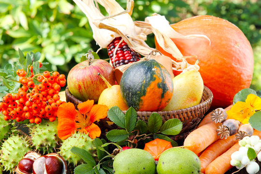 Bunte Herbstfr&uuml;chte