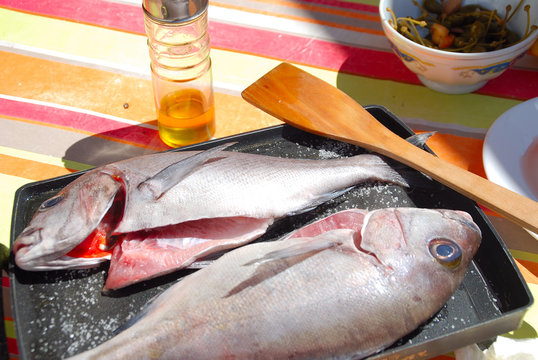PESCADO A LA PLANCHA. BORRIQUTE O PLECTORHINCHUS MEDITERRANEUS