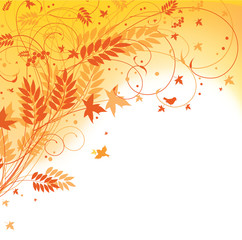 autumn floral background