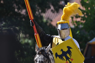 Ritter vor dem Tjost
