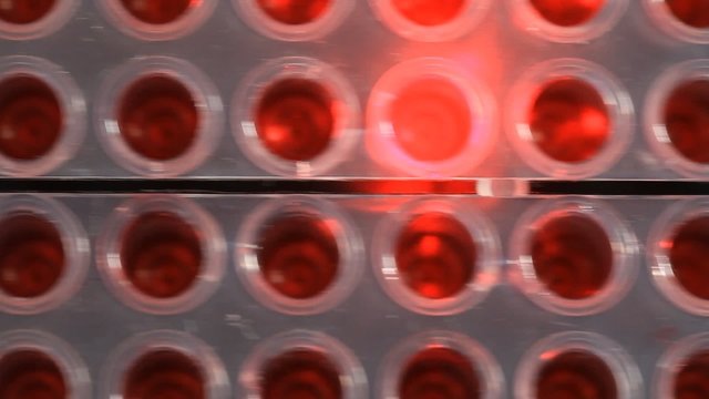 laser scanning DNA samples