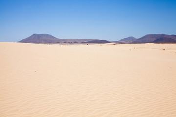 Fototapeta na wymiar Corralejo sand dunes